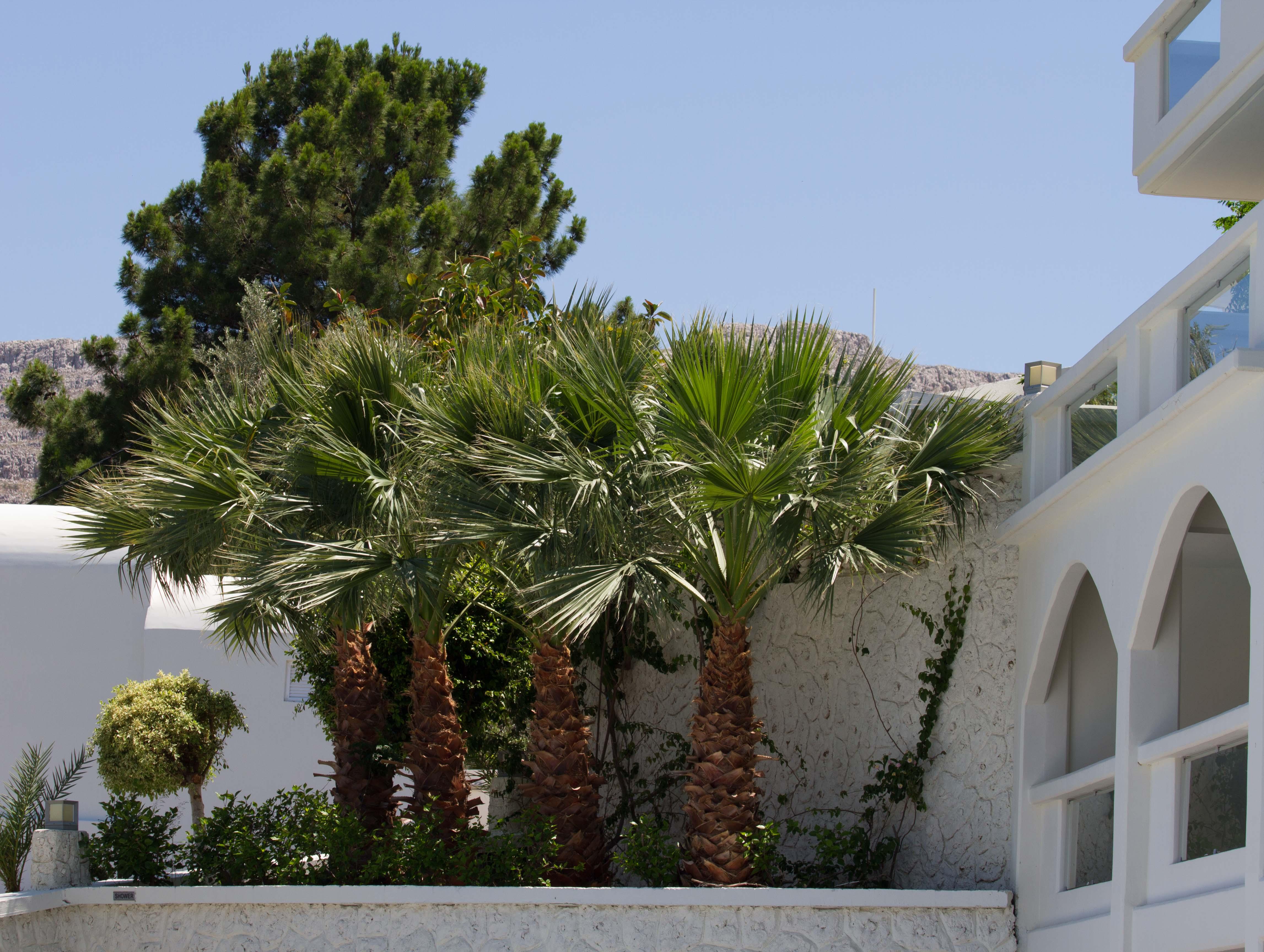 Lindos White Hotel & Suites Екстериор снимка